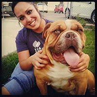 Since 2008, we have aided over 500. 43 Jitasa Nonprofit Accounting Info Ideas Accounting Blog Non Profit