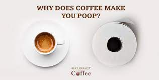 Maybe you would like to learn more about one of these? Why Coffee Makes You Poop The World S Best Laxative Best Quality Coffee
