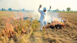 Land containing a natural resource oil fields Economic Logic Of Setting Paddy Fields On Fire