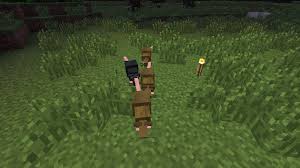 Rat Rats Minecraft Mods Dark Places