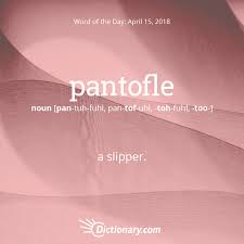 Word Of The Day Pantofle Dictionary Com Words In Other Languages Weird Words Unusual Words