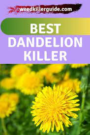 Pin On Best Of Weed Killer Guide