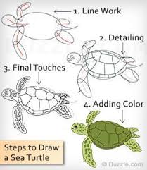 Easy Instructions To Draw A Sea Turtle Turtle Painting Sea Turtle Painting Sea Turtle Drawing