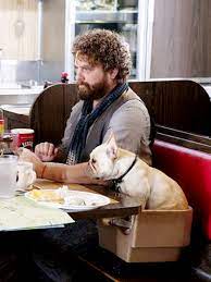Parto col folle | oggi in seconda serata su 20 mediaset. Foto Di Zach Galifianakis Mymovies