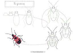 Epingle Par Elena Sur Bricolage Enfant Dessin Comment Dessiner Gendarme