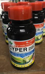 Cyper 25EC