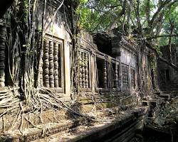 The mysterious jungle temple of Beng Mealea shrouded in vegetation.
