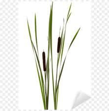 You can copy, modify, distribute and perform the work, even for commercial purposes. Cattails Sticker Pixers We Live To Change Cattail Png Image With Transparent Background Toppng