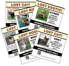 Download lost dog cat poster generator apk android game for free to your android phone. Lost Pet Poster Create Your Lost Pet Posters