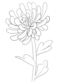 We did not find results for: èŠã®èŠ±ã®å¡—ã‚Šçµµ å­ä¾›å'ã'å¡—ã‚Šçµµã®ã¬ã‚Šãˆãƒ¯ãƒ¼ãƒ«ãƒ‰