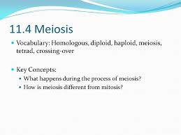 Affidavits, bills of sale, contracts, llc formation, real estate Bio 10 11 4 Meiosis Answer Key Gbgyaba Practice Test Answer Key