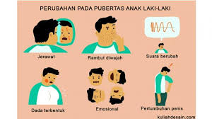 Kunci jawaban matematika ini terdiri dari kegiatan ayo mencoba dan latihan soal pada buku senang belajar matematika kelas 6 kurikulum 2013 (k13) revisi 2018. Kunci Jawaban Tema 6 Kelas 6 Halaman 113 114 115 Subtema 3 Masyarakat Sejahtera Negara Kuat Tribun Pontianak