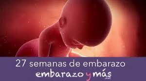 27 Semanas De Embarazo Sexto Mes Embarazoymas Youtube