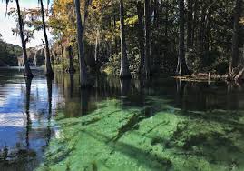 3 of the sites are for rvs only; Rainbow River Tubing Kayaking Clear Water Makes It Tops