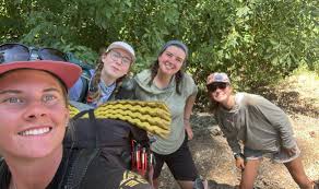 Loose Horses Spotted in Mount Shasta Neighborhood