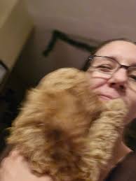 Concerns about the upcoming presidential election and its potential impact