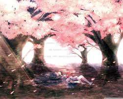 Hammers, nails, and holes in your walls not required. Anime Sakura Trees Hd Wallpapers Wallpaper Cave