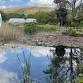 Walk Talk Kernow Lanjeth Nursery & Water Garden event image