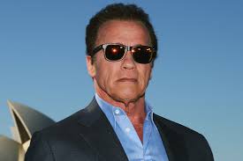 What should Arnold bark