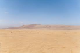 If you're in search of the best desert background pictures, you've come to the right place. Arid Desert With Colourful Mountain Range In Background By Ben Ryan