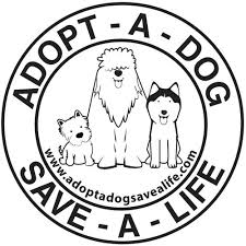 Instagram kullanıcıları bugün 'save a dog' paylaşımlarıyla karşı karşıya geldi. Adopt A Dog Save A Life Inc Charity Profile Donate Online Canadahelps