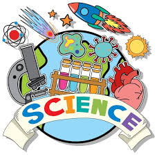 Ferndale Primary School and Nursery - Science