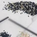 Sorting grains of rice