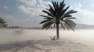 A uniquely saudi experience awaits in winter. Snow City The New Hot Ticket In Saudi Arabia S Capital Al Arabiya English
