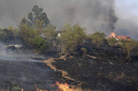 Scià era ancora oggi la nave più imponente della marina militare. Incendi Dalla Sicilia Alla Calabria Sud Brucia Uomo Ucciso Dal Fuoco In Casa Affaritaliani It