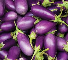 We did not find results for: Eggplant Fertilizer Haifa Group