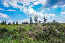 Facebook is showing information to help you better understand the purpose of a page. Brdy Former Restricted Military Area Czech By Jane
