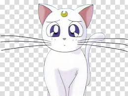 Artemis Sailor Moon Sailormoon S Cat Transparent Background Png Clipart Hiclipart Download transparent sailor moon png for free on pngkey.com. cat transparent background png clipart