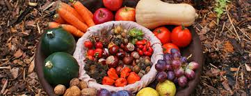 Fruits Et Legumes D Automne Recolte Des Fruits Et Legumes D Automne Fruits Et Legumes Legumes Automne Manger Des Fruits