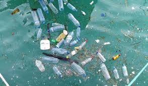 They Say Soon There Will Be More Bottles In The Ocean Than Fish What Are You Doing To Stop This Trash Art Plastic Pollution Oceans Of The World