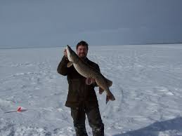 Northern Pike Fishing For Northern Pike Canada