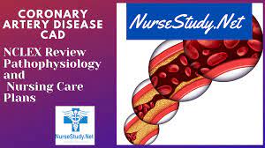 Guidelines for diagnosis and treatment of myocarditis (jcs 2009): Coronary Artery Disease Cad Nursing Diagnosis Care Plan Nursestudy Net