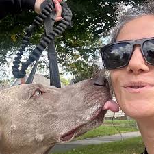 Fundraiser by Alison Groleau : Support for Alison's 6 kids during her  Cancer treatment