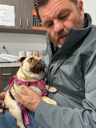 Eva Breen's Instagram, Twitter & Facebook