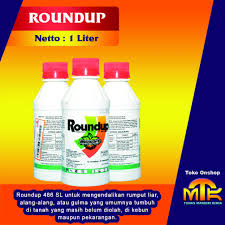 Rumput grinting sebagai simbol sosial. Herbisida Untuk Rumput Grinting Herbisida Insektisida Fungisida Gambar Png Kemampuan Dia Bertahan Dan Dapat Menyebar Pictures Photos