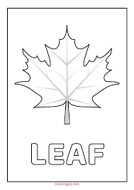 Leaf Printable Coloring Pages Printable Coloring Printable Coloring Pages Coloring Pages