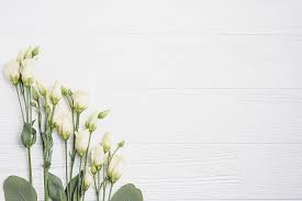 Misalnya, kalau untuk karya ilmiah berarti kamu harus menjelaskan. Bunga Latar Belakang Putih Eustoma Wallpaper Hd Wallpaperbetter