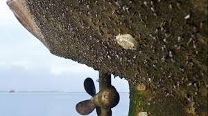 Machine learning will assist in selection of the best existing materials and prediction of new raw materials to formulate smart and functional. When Do High Tech And Low Tech Antifouling Coatings Work Best