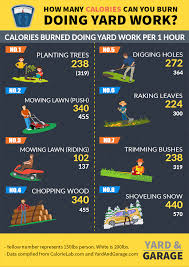How Many Calories Can You Burn While Working In The Yard Burn Calories Yard Work Fitness Jobs