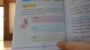 Ilkokul 2 Sinif Bu Soruda Ekmekin Es Seslisi Nedir Eodev Com
