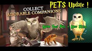 Hedwig was an eleventh birthday gift from rubeus hagrid to harry. Name Your Pets Skins Harry Potter Hogwarts Mystery Youtube