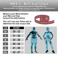 Weight Lifting Belts Double Back Support Large Mrx Gym Belt