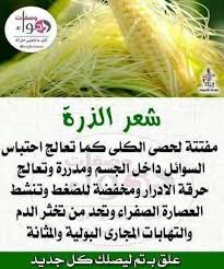 خاصة تميزها من بُنية الكلام أو النثر, وأنه ينبغي علينا في مواجهة الشعر استبعاد المقولات القديمة الثابتة وهذا ما نراه واضحاً في. Ø±ÙˆØ§Ø¦Ø¹ Ø§Ù„ÙƒÙ„Ø§Ù… Ø§Ù„Ø·ÙŠØ¨ Ø§Ù„Ù…Ù†Ø´ÙˆØ±Ø§Øª ÙÙŠØ³Ø¨ÙˆÙƒ
