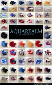 Pin By Vincent Pedrosa On Betta Fish Betta Fish Breeding Betta Fish Betta Fish Types