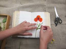 This is an effective way to preserve the flowers for sentimental reasons or to use them in crafts start at the back of the book if you are drying many flowers. Rookie How To Press Flowers