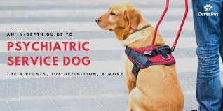 Psychiatric Service Dog Vs Emotional Support Animal What S The Difference Certapet Psychiatric Service Dog Service Dogs Psychiatric Services